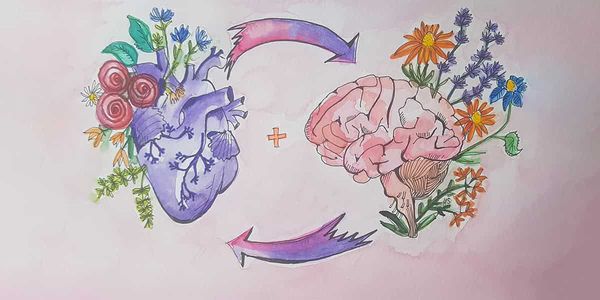 Сердцу не прикажешь: сердце и мозг